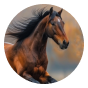 Horse 2
