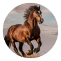 Horse 3